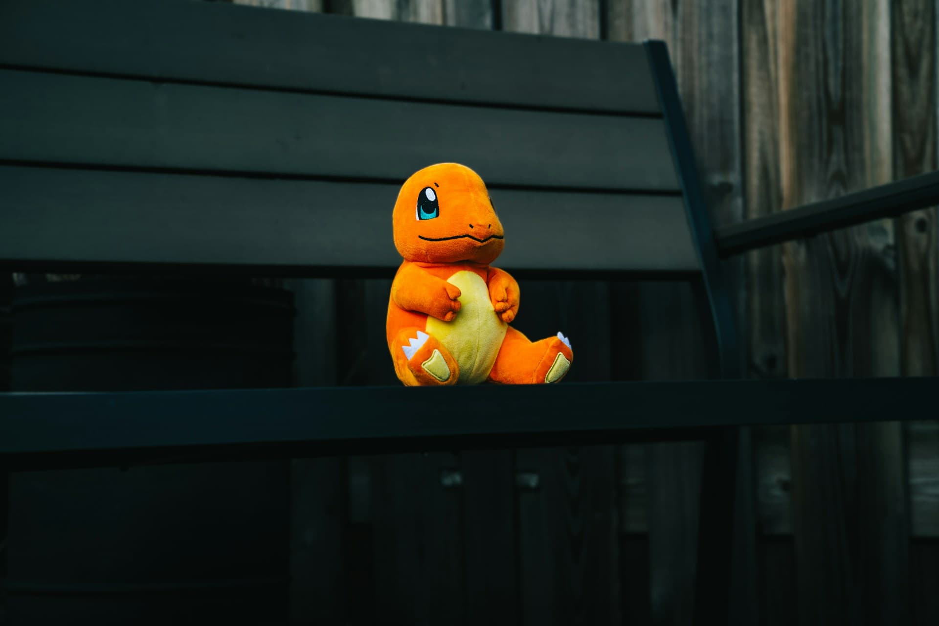 Pokemon Blessing and Bardo Ceremony
